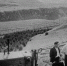 1947 – 1948 годы. Разработан десятилетний план лесовосстановительных работ - Газета Кавказская здравница