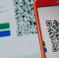 В России разрабатывают законопроект о введении QR-кодов в транспорте, кафе и магазинах - КМВСИТИ