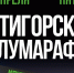 В Пятигорске в период проведения легкоатлетического забега некоторые участки улично-дорожной сети закроют для проезда - Пятигорская правда
