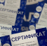 Студенты ПМФИ приняли участие в брейн-ринге, который организовал краевой Избирком - ПМФИ