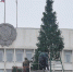 На главной городской площади Пятигорска идут работы по установке новогодней ёлки - Администрация г. Пятигорск