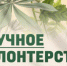 Присоединяйтесь к научному волонтерству - ПМФИ