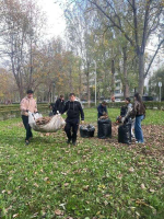 Студенты ИМО на субботнике