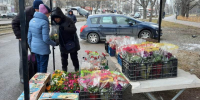 В Пятигорске в преддверии Международного женского дня пройдут сразу три цветочных ярмарки. - Администрация г. Пятигорск