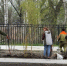 В Пятигорске стартовало обновление зеленого массива парковой зоны Новопятигорского озера. - Администрация г. Пятигорск